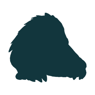Silhouette of Cindermole