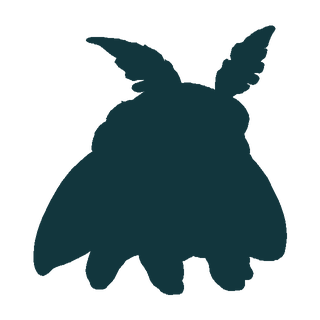 Silhouette of Noctuft