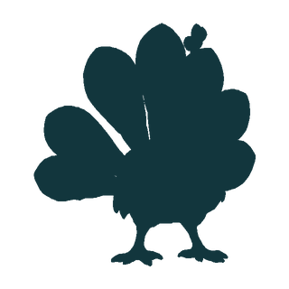 Silhouette of Prismara