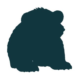 Silhouette of Shadillo