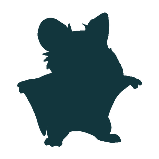 Silhouette of Sootsail